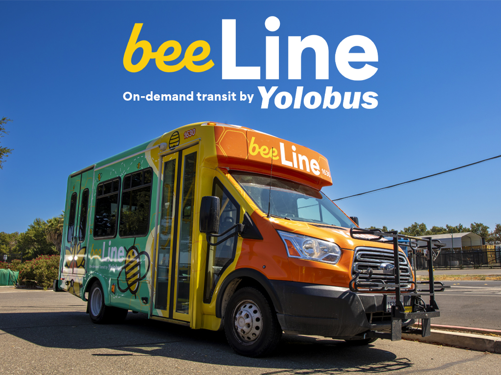Not just for seniors, Beeline Bus serves all residents, Local News